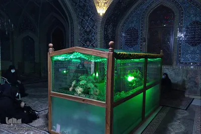 مراسم عزاداری دهه اول فاطمیه‎‎ - شیراز