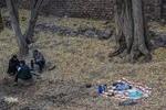 قاب طلایی پاییز در شهمیرزاد