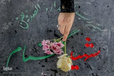 گلباران مزار مطهر شهدا توسط خبرنگاران شیرازی