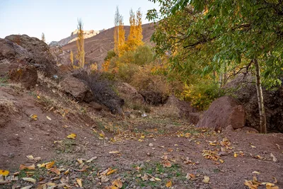پاییز زیبای طالقان