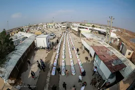 بازگشت لاله‌ها به آغوش وطن
