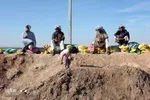 هوفل علی‌آباد گرفتار در سیل