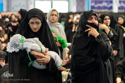 همایش شیرحوارگان در کرج