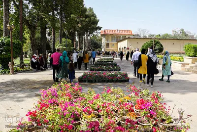 مسافران نوروزی در باغ ارم شیراز