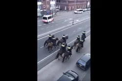 Pays-Bas : un mouvement raciste s’en prend à une mosquée