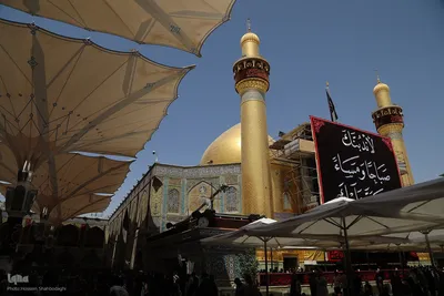 حرم حضرت علی(ع) در آستانه اربعین حسینی