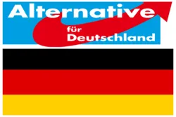 Scharfe Kritik an AfD-Antrag zum Islam
