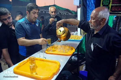 موکب صاحب‌الزمان(عج) فارس در کربلا