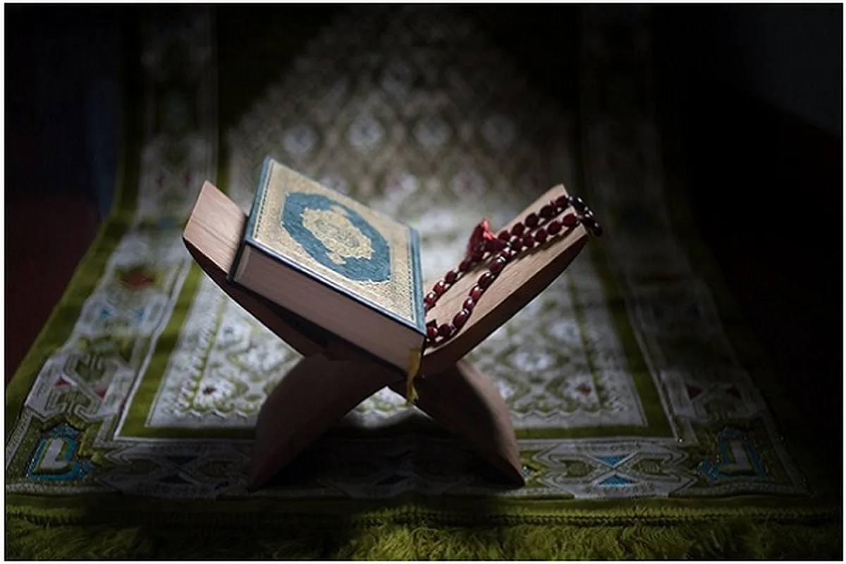 Hanyar ci gaban ɗan adam