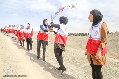 کاشت نهال صلح در بوستان طبیعت پردیسان توسط اعضای هلال احمر