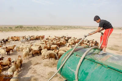 آبرسانی به روستاهای هویزه