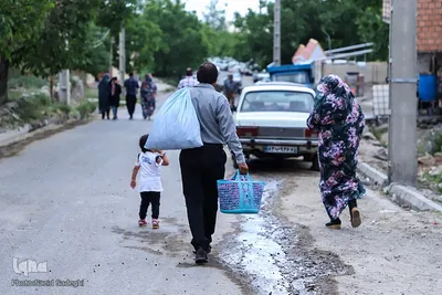 جشنواره برداشت گل محمدی عنصرود