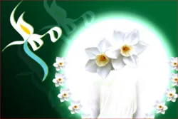 کینیڈا؛
جشن نیمہ شعبان کا اہتمام