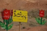 راهیان نور دانشجویی