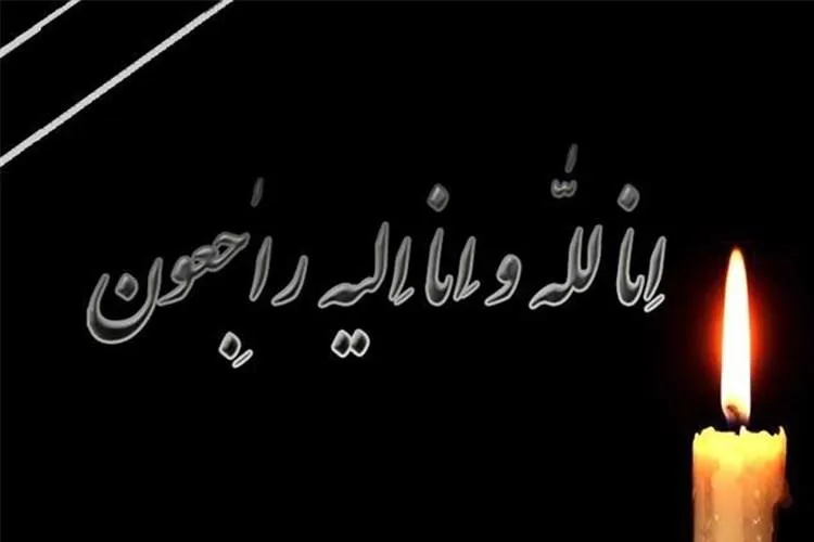 مادر شهیدان ذاكر عباسعلی به فرزندان شهیدش پیوست