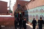 آیین سنتی «نخل‌گردانی» در روستای ابیانه نطنز
