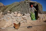 کوچ عشایر در فارس‎