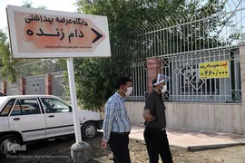 بازار عرضه دام سبک «آزادگان» شهرداری تهران در عید سعید قربان