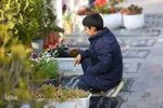 حال و هوای گلستان شهدای اصفهان در آخرین پنجشنبه سال