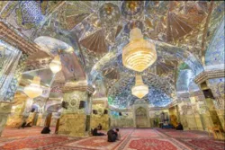 امام ھشتم سے پاکستانیوں کا والہانہ عقیدت + فلم