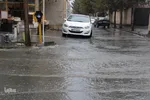 بارش باران در بیرجند