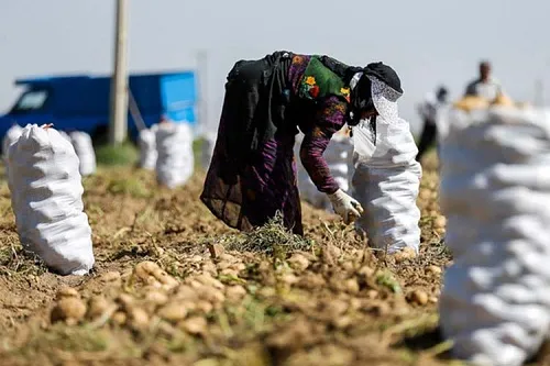 ۹۲۲ طرح اشتغال روستایی سیستان و بلوچستان به بانک‌ها معرفی شد