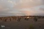 عزاداری عصر عاشورا در صحرا - سمنان