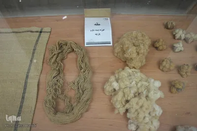 قدم زدن در زندگی ۱۰۰ ساله خراسان‌جنوبی‌ها