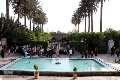 نارنجستان قوام‎‎