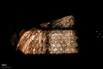 حال ناخوش بقعه سیدشمس‌الدین چهار منار یزد‎