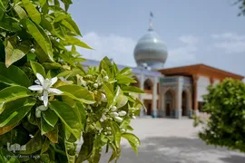 بهار در بهشت