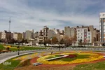 گل فرش تبریز