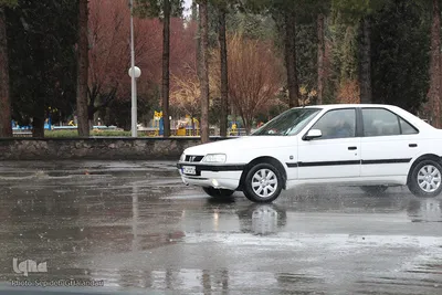 بارش باران در بیرجند