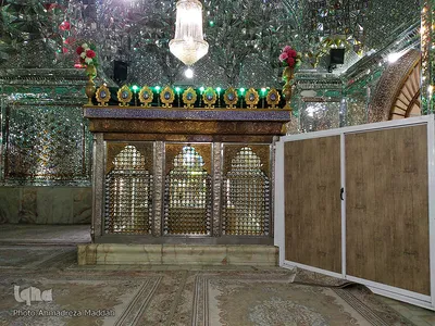بقعه حرم امامزاده سیدتاج الدین غریب (ع)‎‎