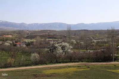 طبیعت بهاری شهرستان اهر