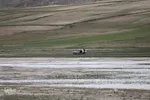 تالاب قوری گول‎‎