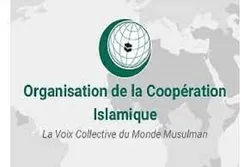 L'OCI condamne l'autodafé du Coran
