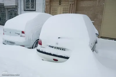 بارش شدید برف در اهر