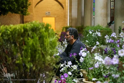 اولین شب قدر در حافظیه