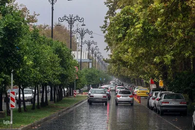 بارش باران پاییزی در شیراز