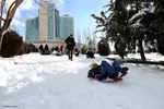 بارش اولین برف پاییزی در تبریز‎