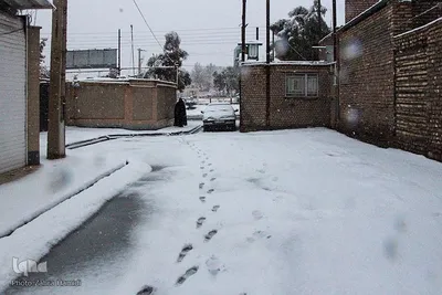 برف در خیابان‌های بیرجند