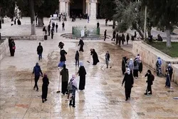 Hunderte Palästinenser putzen die Al-Aqsa-Moschee + Video