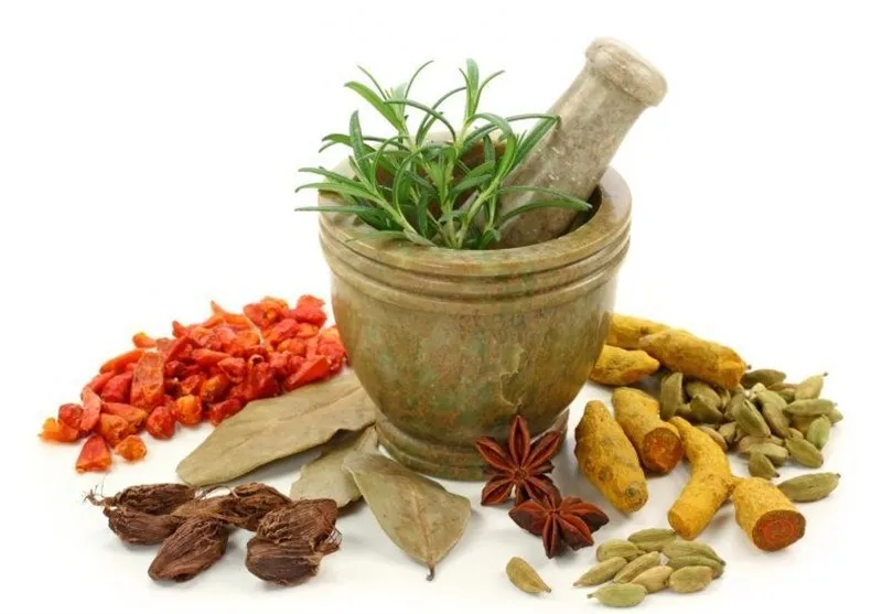 توجه به طب سنتی سبب پیشرفت سلامت کشور می‌شود