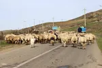 رنگین‌کمان رنگ‌ها در سرزمین ارسباران