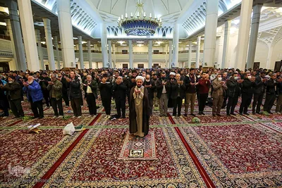 شب لیله الرغائب در حرم مطهر شاهچراغ