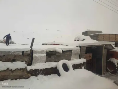 طبیعت برفی مناطق شهری و روستایی اهر