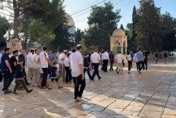 Decine di coloni invadono al-Aqsa