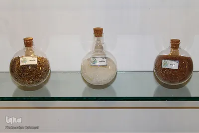 باغ موزه گیاهان دارویی و معطر زنجان