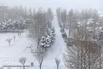 بارش سنگین برف در همدان‎‎